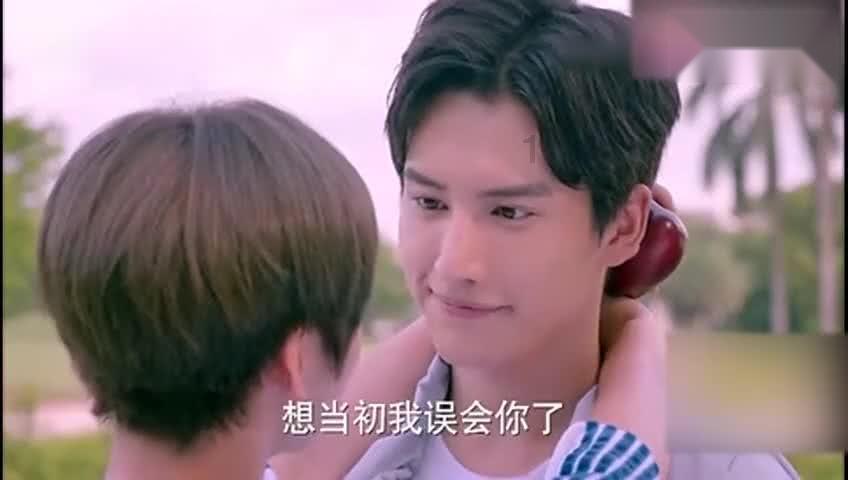 参与莲座紫金牛治跌打损伤是用叶子煮水喝吗?知识星球,开启知识共享新时代